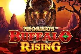 BuffaloRisingMegaway Betflik 68